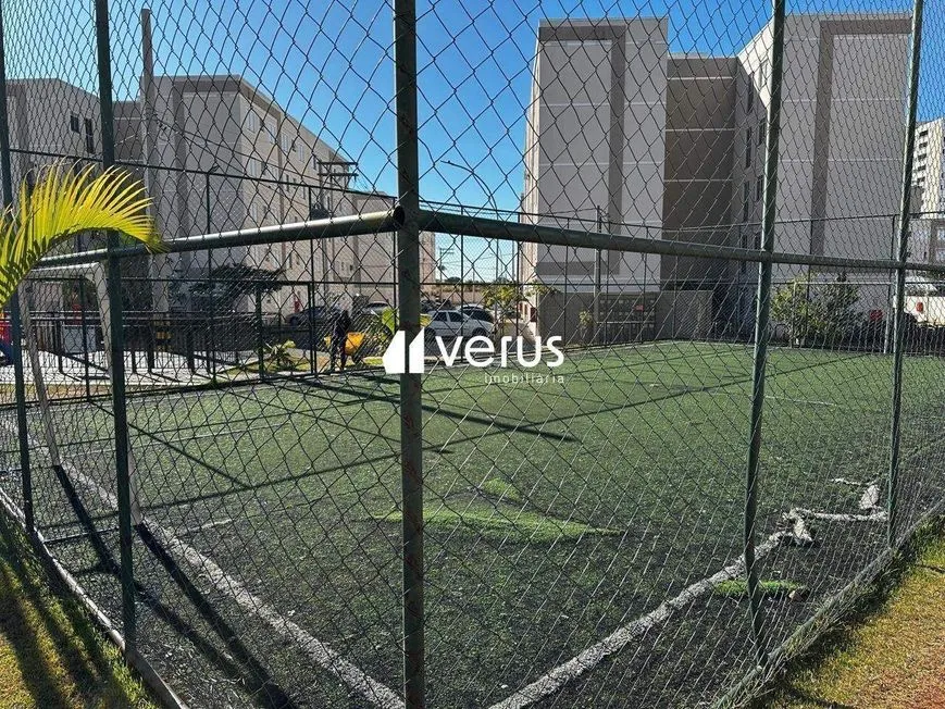 Imagem 11