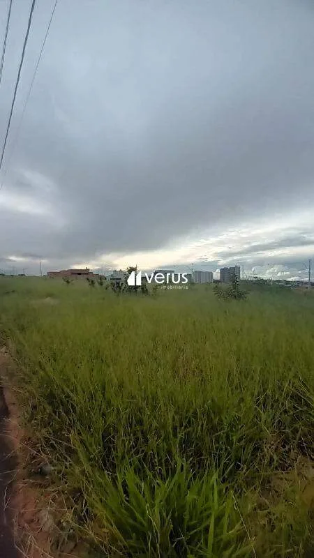 Imagem 5