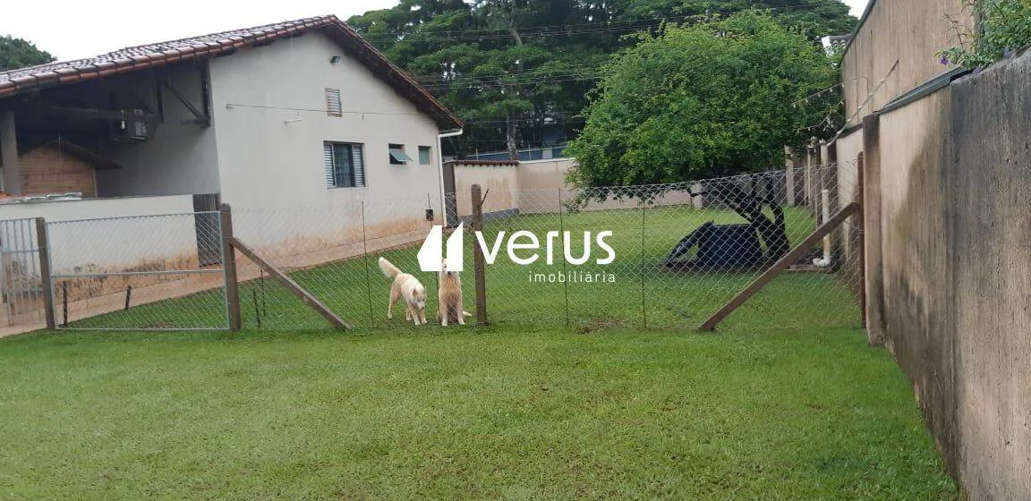 Imagem 15