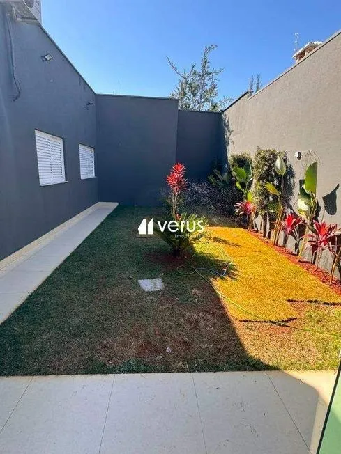 Imagem 19