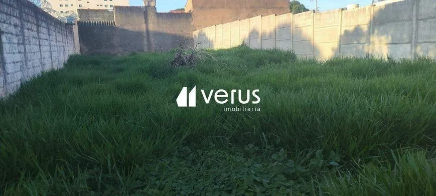 Imagem 5