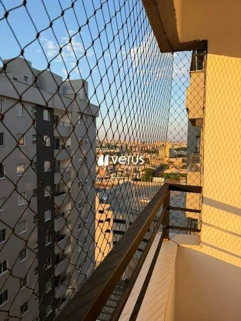 Imagem 11