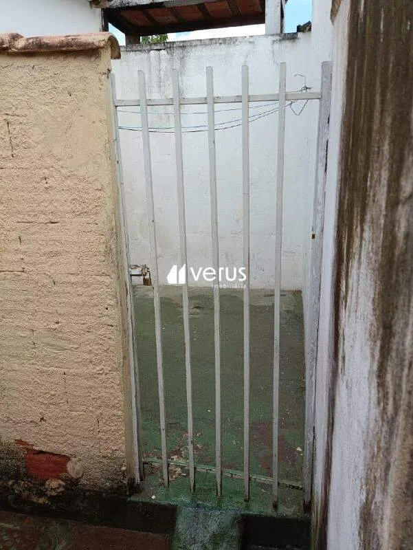 Imagem 13