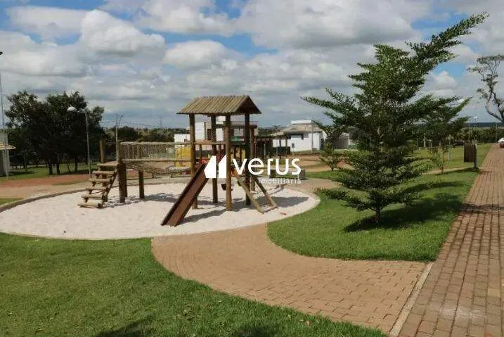 Imagem 5