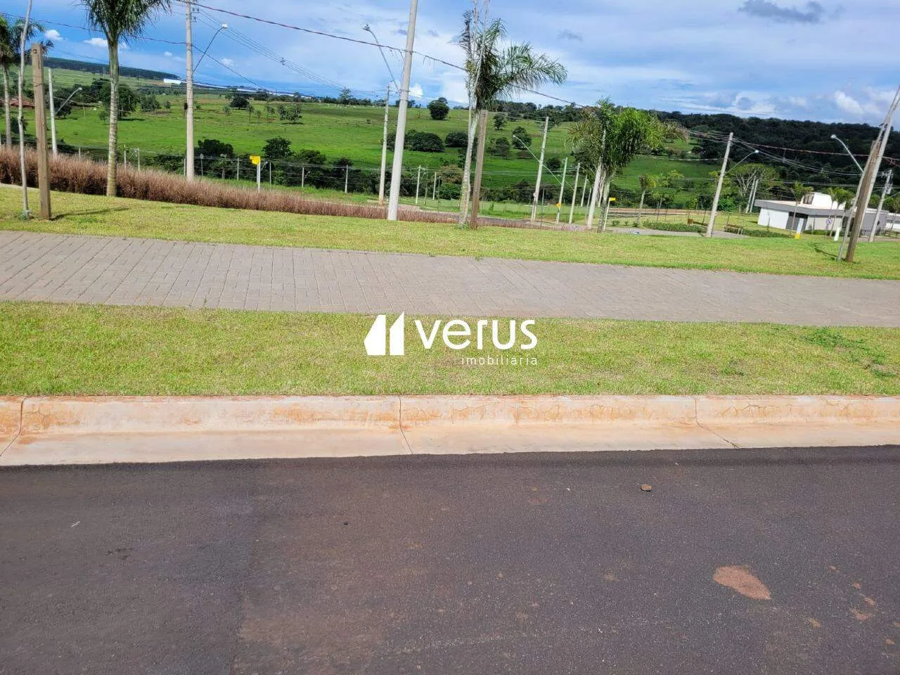 Imagem 11
