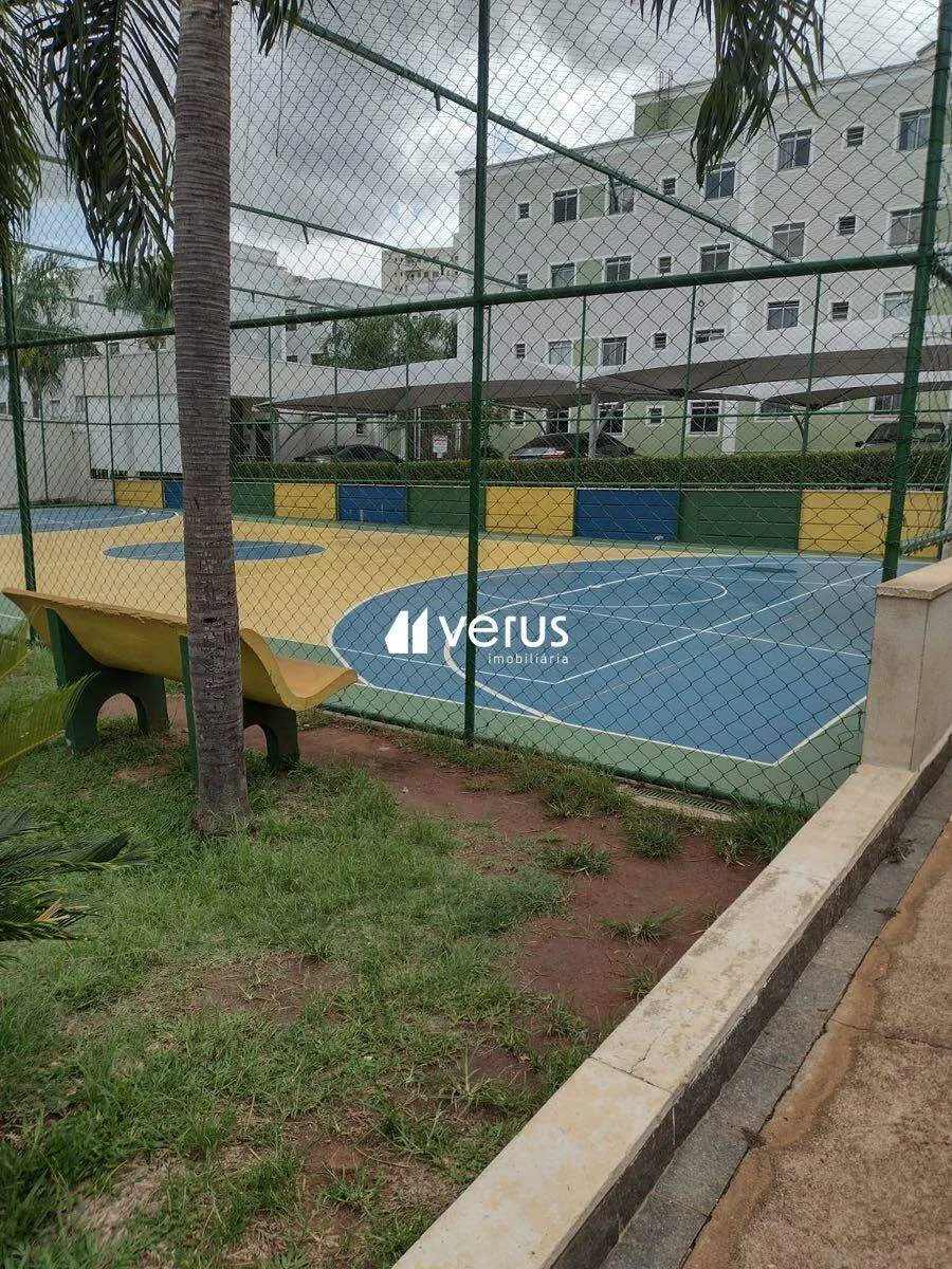 Imagem 8