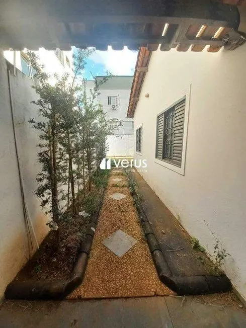 Imagem 5