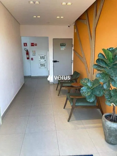 Imagem 10