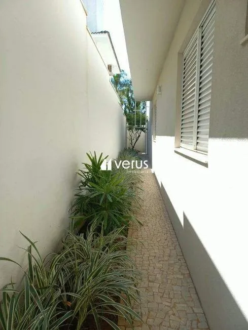 Imagem 6