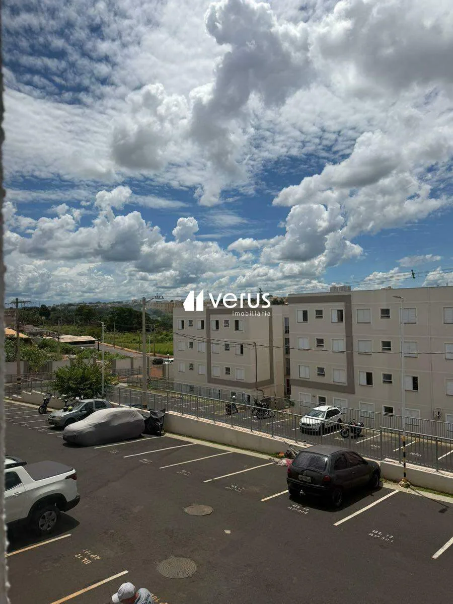 Imagem 8