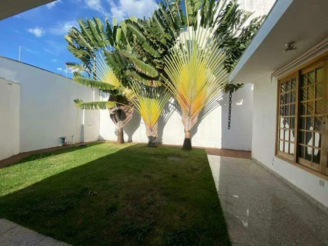 Imagem 31