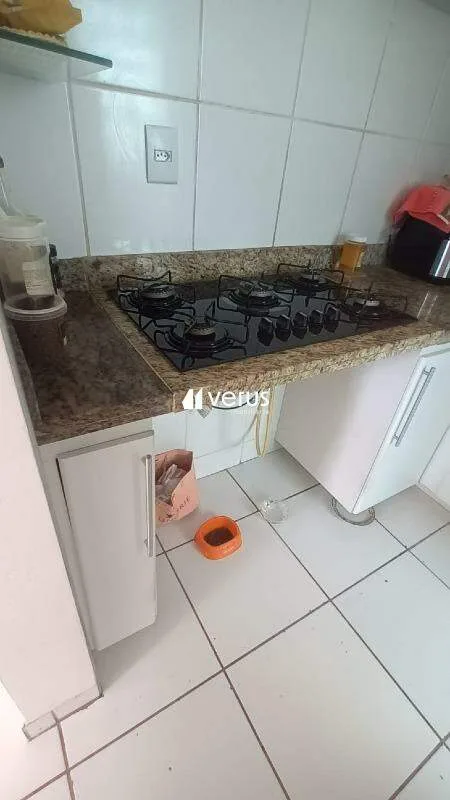 Imagem 8
