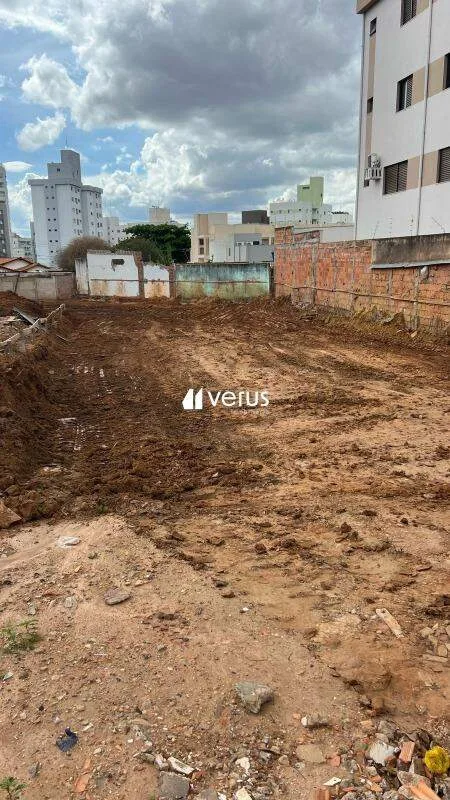 Imagem 3