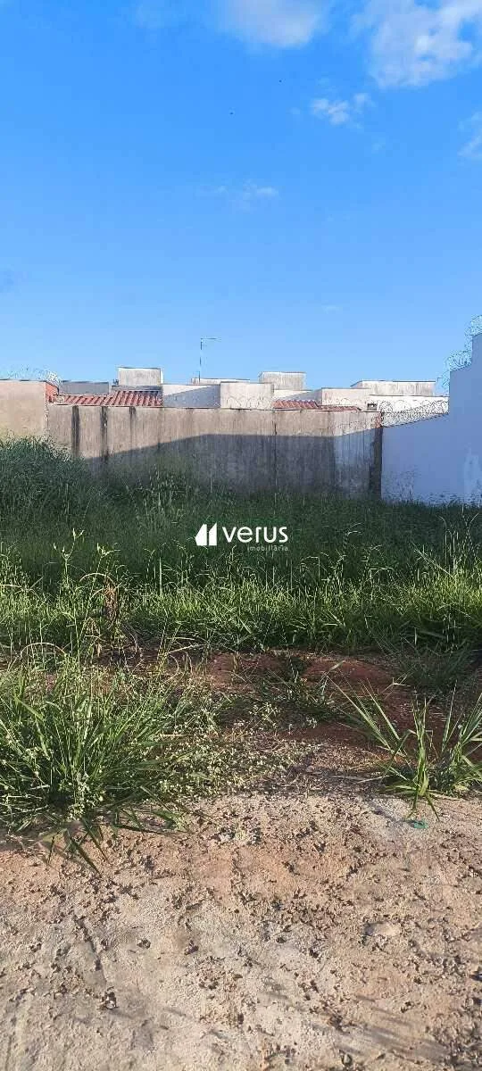 Imagem 4