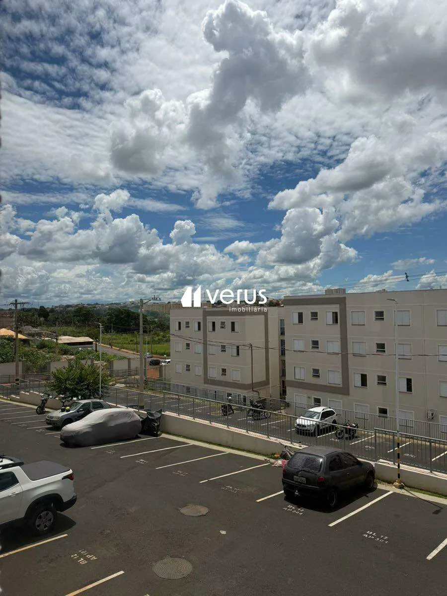 Imagem 7