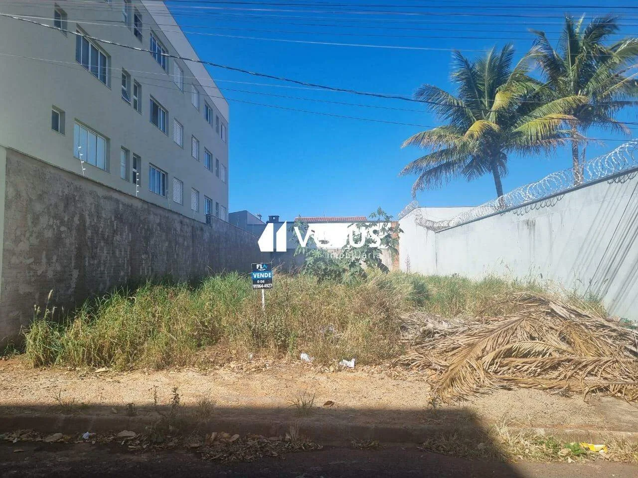 Imagem 3