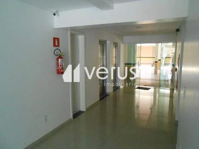 Imagem 11