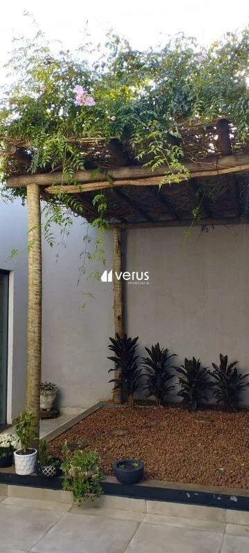 Imagem 17