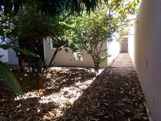 Imagem 17