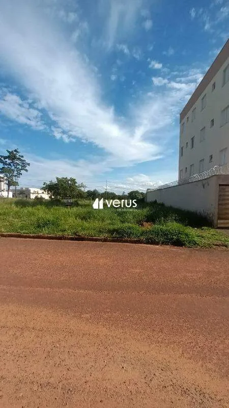 Imagem 3
