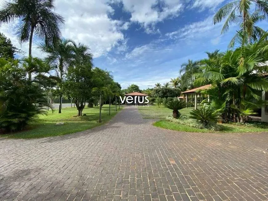 Imagem 5