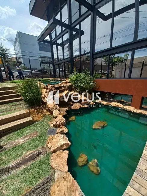 Imagem 5