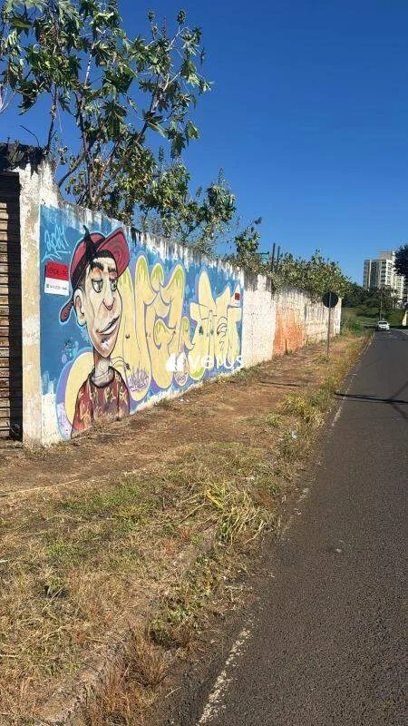 Imagem 3