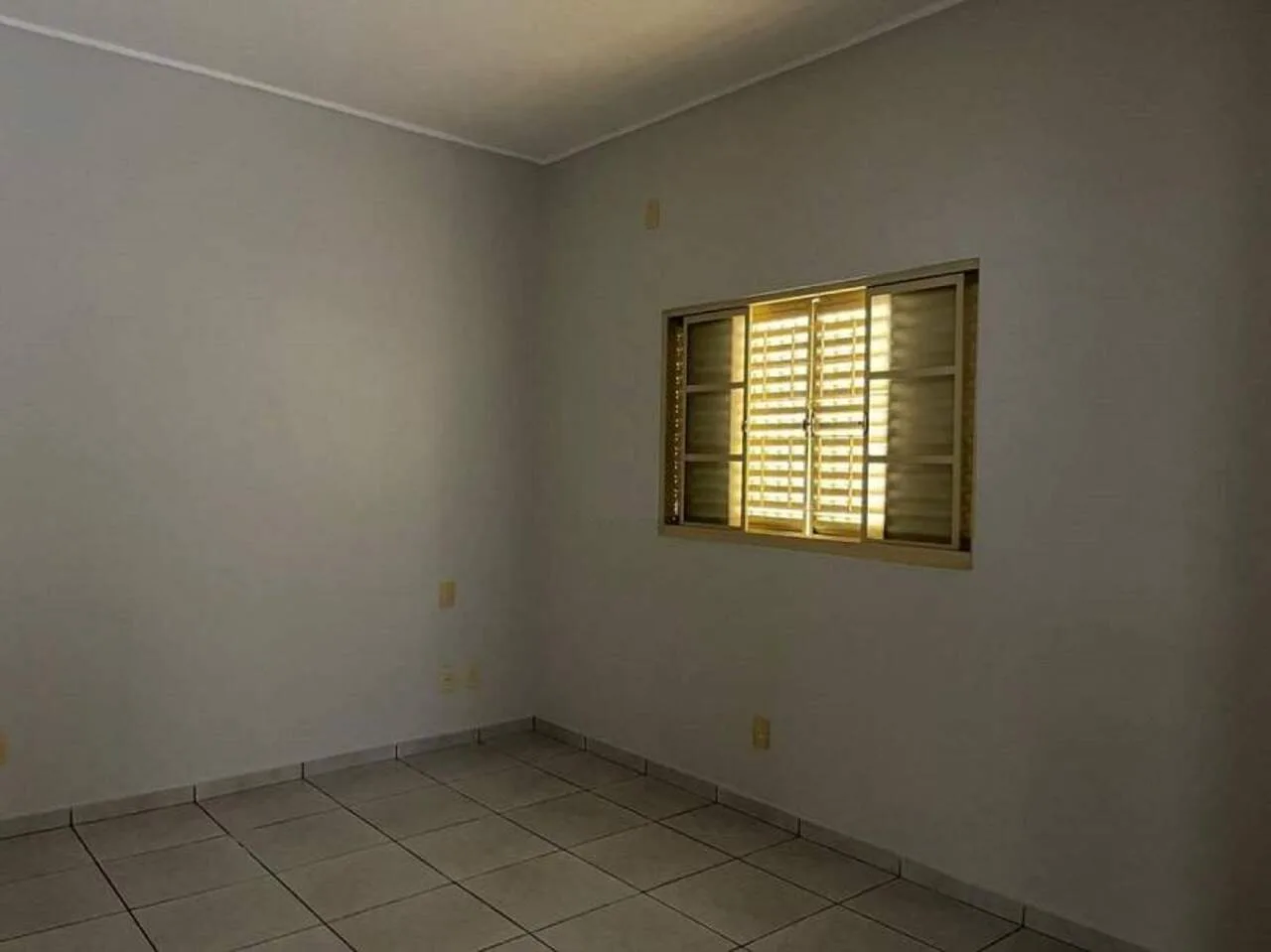 Imagem 12