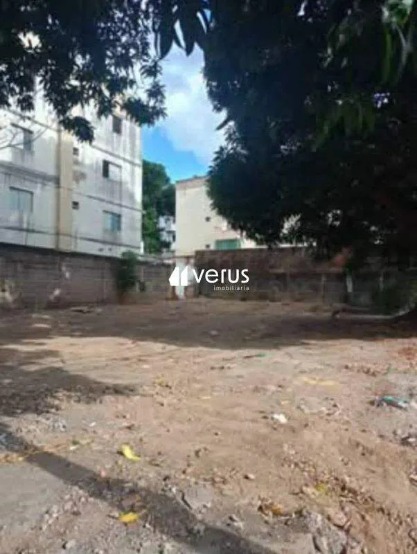 Imagem 5