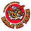 Baile do Tigre avatar