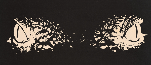 Crocodilla + Trem Fantasma 