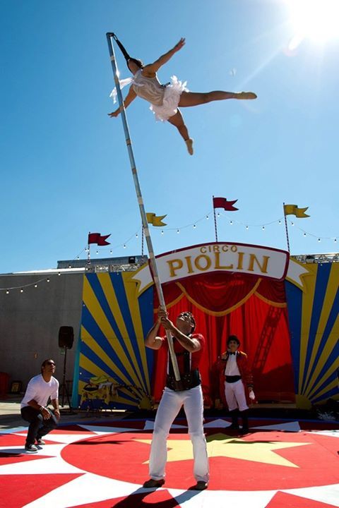 Viviane Rabelo Muñoz