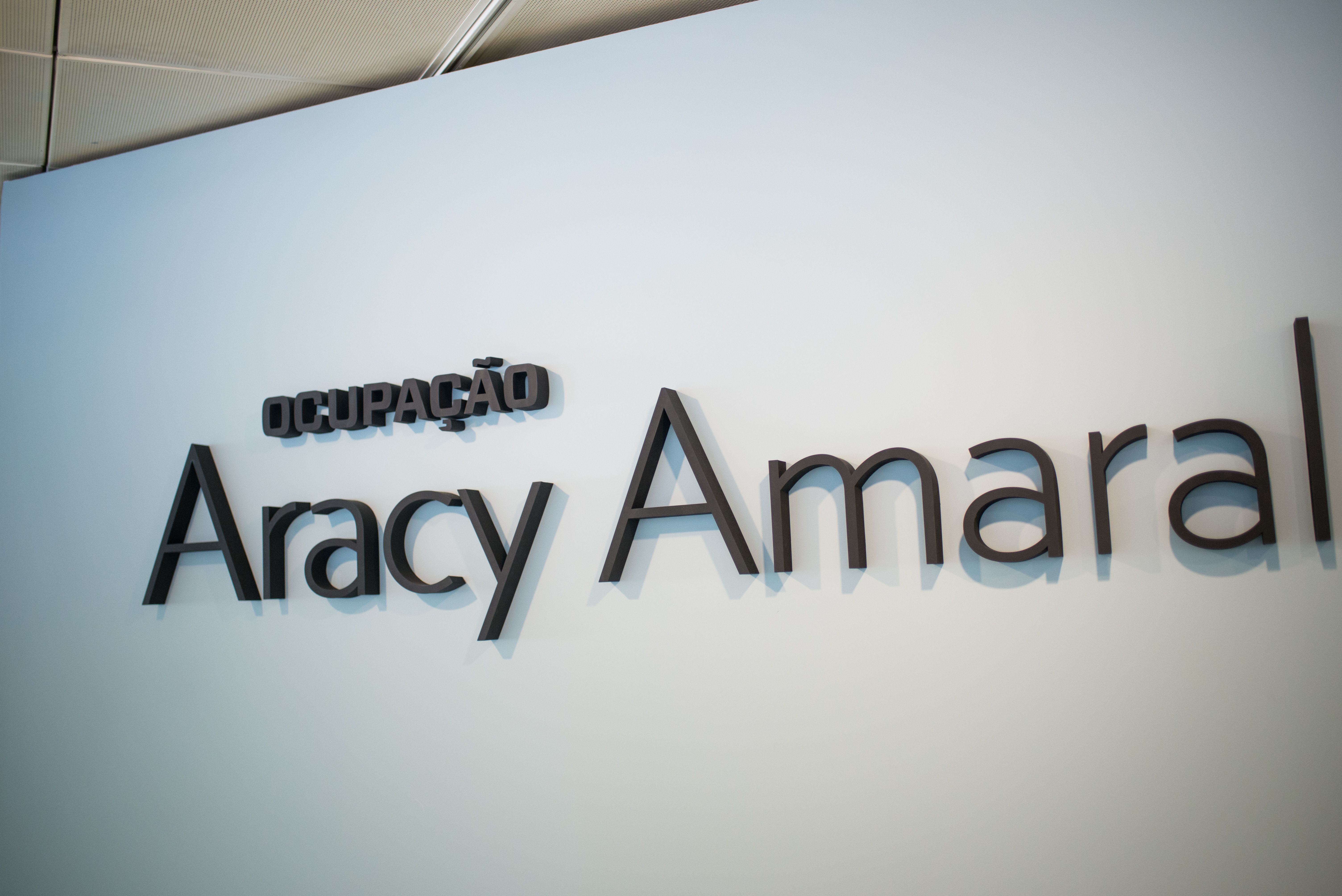 Fotografia horizontal em plano m&eacute;dio de uma parede branca onde se l&ecirc;, em letras pretas em relevo: &ldquo;OCUPA&Ccedil;&Atilde;O&rdquo; na parte superior, em letras menores e em caixa alta, e logo abaixo &ldquo;Aracy Amaral&rdquo;, com inicial mai&uacute;scula e dimens&otilde;es significativamente maiores. O texto est&aacute; alinhado levemente &agrave; esquerda e visto sob um &acirc;ngulo diagonal ascendente. As letras projetam sombras suaves sobre a superf&iacute;cie clara da parede. No canto superior esquerdo, observa-se parte do teto com uma estrutura met&aacute;lica e ilumina&ccedil;&atilde;o de espa&ccedil;o expositivo.