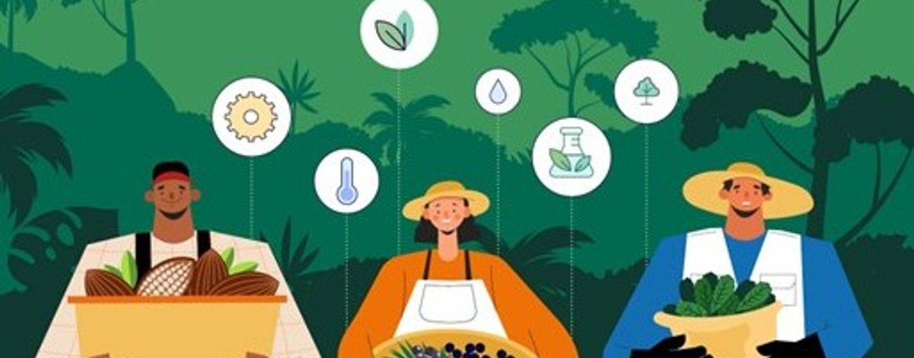 Currículo de bioeconomia