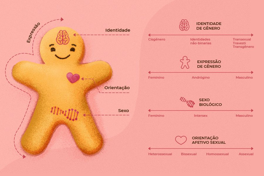 Imagem com fundo rosa, na qual há o desenho de um biscoito bege, com olhos e sorriso. O biscoito conta com indicações das palavras identidade, orientação e sexo, explicadas ao lado. A intenção da imagem é discutir as diferenças entre identidade de gênero, expressão de gênero, sexo biológico e orientação afetivo-sexual.