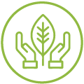 Organico