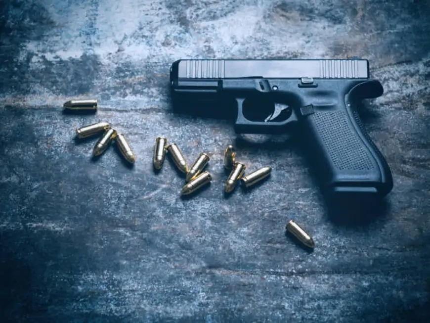 Denúncia de violência doméstica em Parnaíba leva à apreensão de arma de fogo de uso restrito