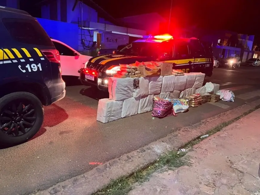 PRF apreende carga de drogas escondida em caminhão na BR-316, em Picos
