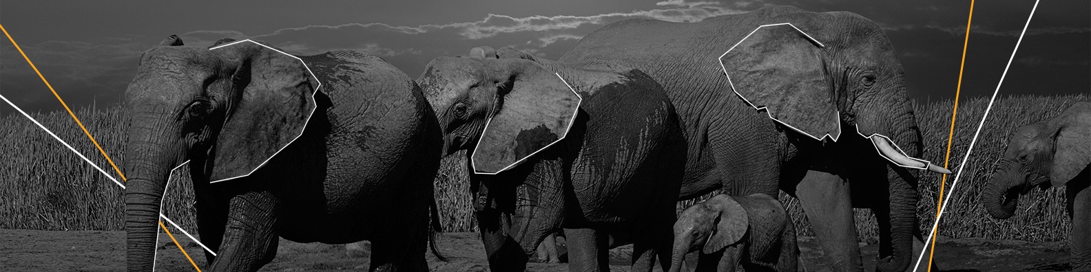 Imagem de capa da empresa