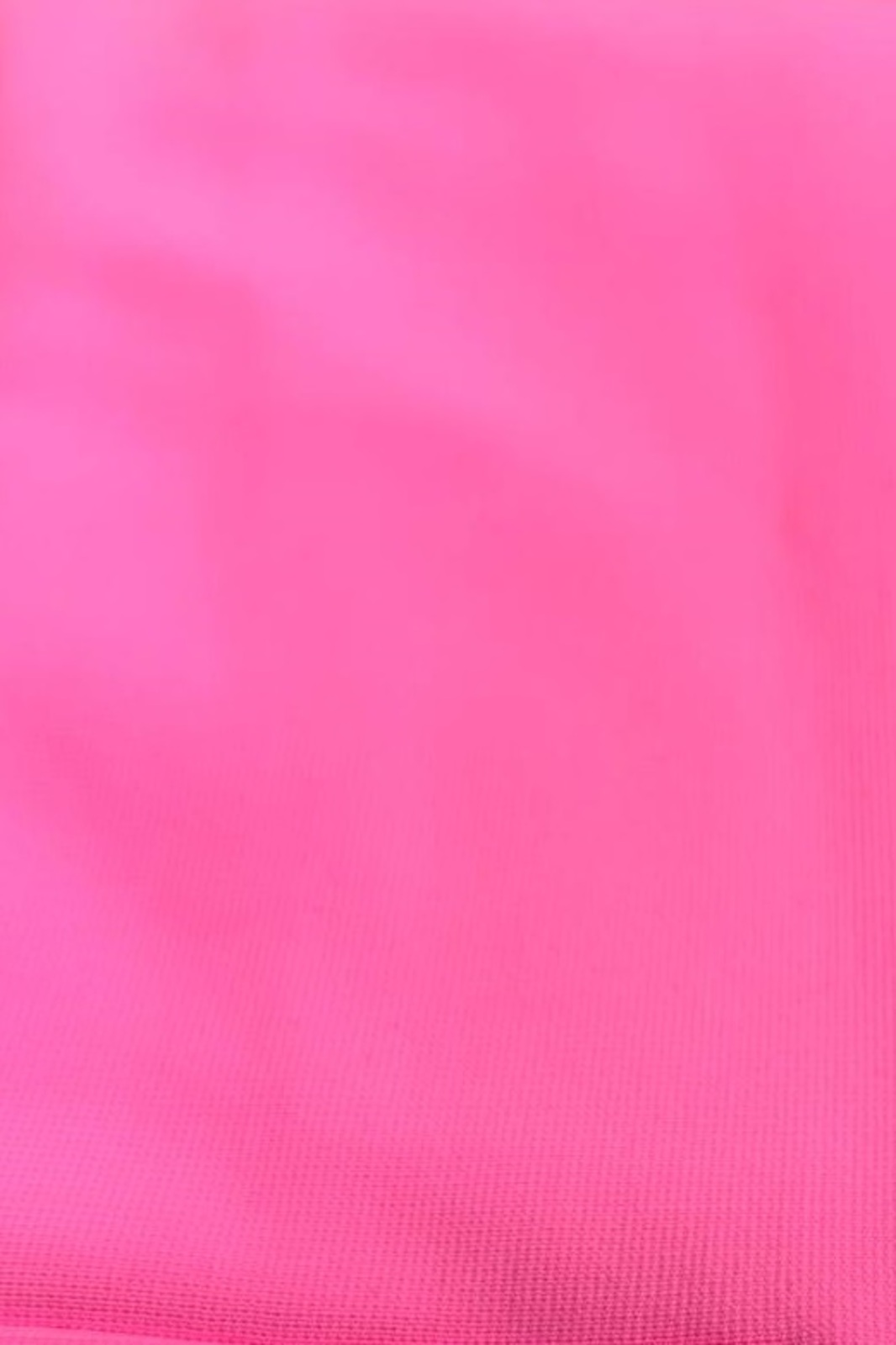 ROSA NEON
