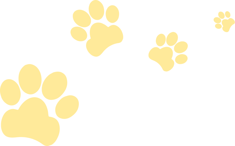 Ilustração ABVTEX