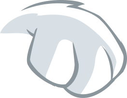Pata
