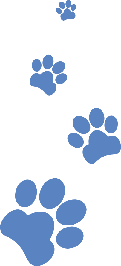 Patas Klin Dog