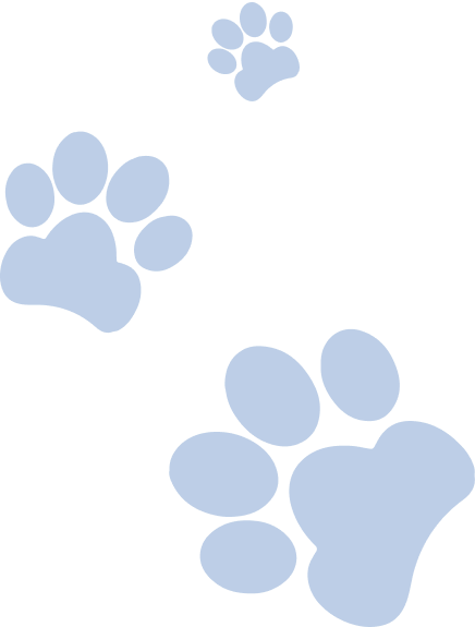 Patas