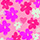 KI13-240 FLOWERS NEON
