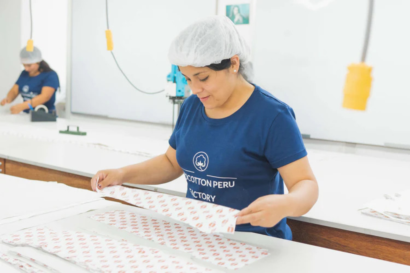 Valores e Ética como Pilar Fundamental na Miocotton