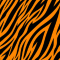 Tigre