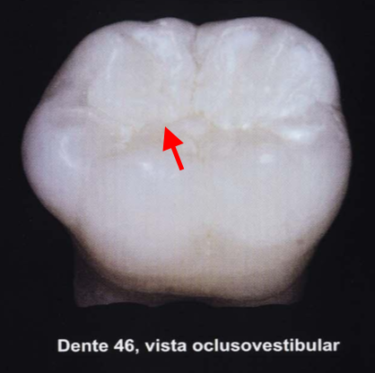 Imagem da questão