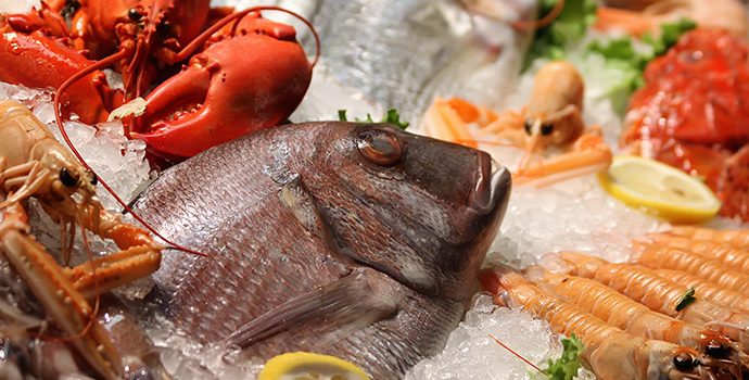 Como o esporte afeta o sistema imunológico