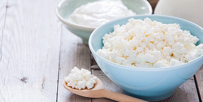 Probióticos na alimentação do atleta